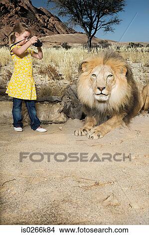 Girl photographing a stuffed lion View Large Photo Image Picture - Girl photographing a stuffed lion. Fotosearch