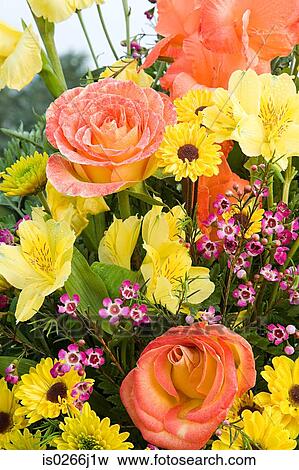 A bouquet of flowers View Large Photo Image Stock Photo - A bouquet of flowers. Fotosearch