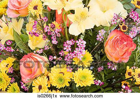 A bouquet of flowers View Large Photo Image Stock Photo - A bouquet of flowers. Fotosearch
