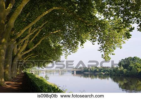 Bank of river vienne in chinon View Large Photo Image Stock Image - Bank of river vienne in chinon. Fotosearch