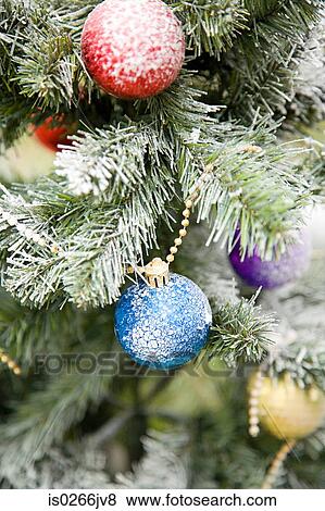 Baubles on a christmas tree View Large Photo Image Stock Photo - Baubles on a christmas tree. Fotosearch