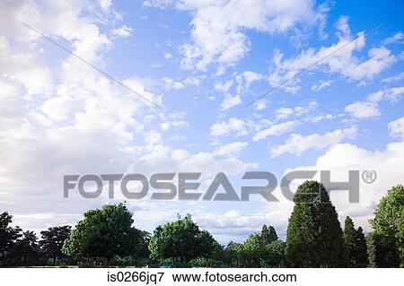 Clouds over trees View Large Photo Image Stock Photo - Clouds over trees. Fotosearch