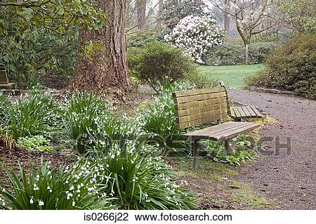 Crystal springs garden in oregon View Large Photo Image Stock Image - Crystal springs garden in oregon. Fotosearch