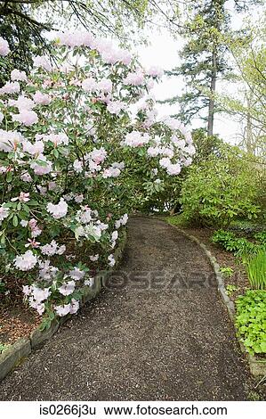 Crystal springs garden in oregon View Large Photo Image Stock Photograph - Crystal springs garden in oregon. Fotosearch