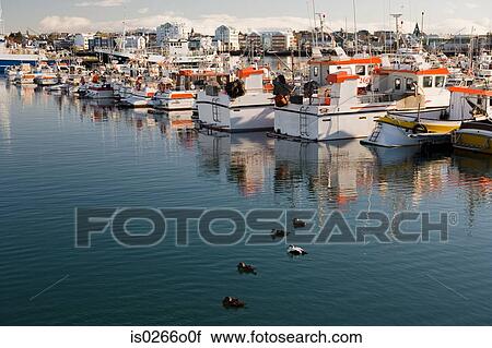 Fishing boats near reykjavik View Large Photo Image Stock Image - Fishing boats near reykjavik. Fotosearch