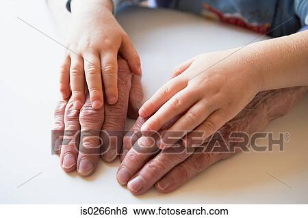 Hands of child and senior adult View Large Photo Image Stock Photo - Hands of child and senior adult. Fotosearch