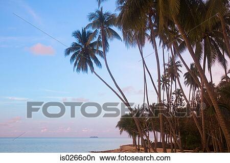 Mabul island View Large Photo Image Picture - Mabul island. Fotosearch