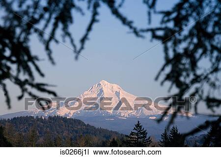 Mount hood View Large Photo Image Stock Image - Mount hood. Fotosearch