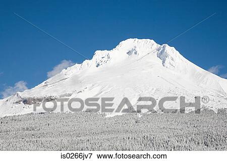 Snow covered mount hood View Large Photo Image Stock Photo - Snow covered mount hood. Fotosearch