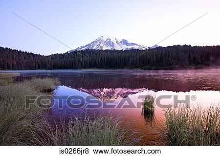 Sunrise at mount rainier View Large Photo Image Stock Photo - Sunrise at mount rainier. Fotosearch