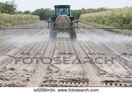 Tractor watering a field View Large Photo Image Picture - Tractor watering a field. Fotosearch
