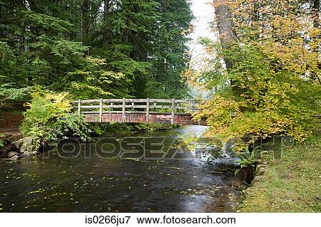 Wooden bridge in silver falls state park View Large Photo Image Stock Photo - Wooden bridge in silver falls state park. Fotosearch