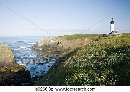 Yaquina head lighthouse View Large Photo Image Stock Photo - Yaquina head lighthouse. Fotosearch