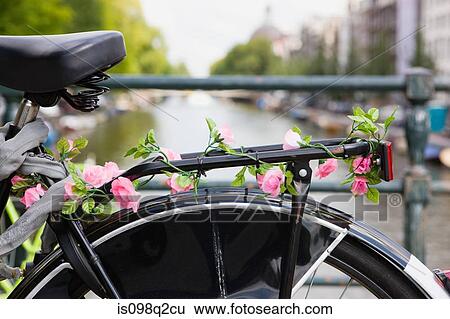 Bicycle with roses View Large Photo Image Stock Photograph - Bicycle with roses. Fotosearch