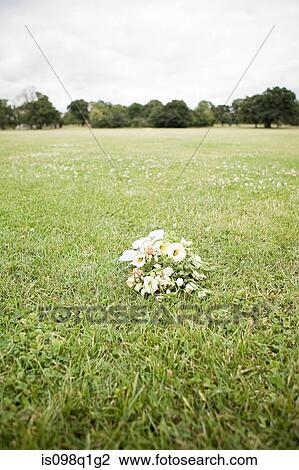Bouquet of flowers on grass View Large Photo Image Stock Image - Bouquet of flowers on grass. Fotosearch