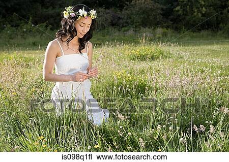Bride in a field View Large Photo Image Stock Image - Bride in a field. Fotosearch