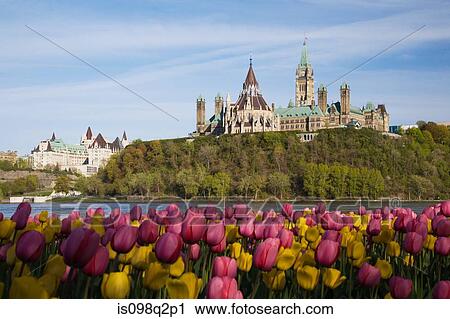 Canadian parlimentary buildings on parliament hill View Large Photo Image Stock Image - Canadian parlimentary buildings on parliament hill. Fotosearch