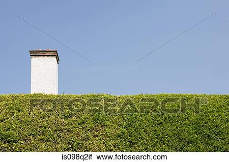 Chimney behind hedge View Large Photo Image Stock Image - Chimney behind hedge. Fotosearch