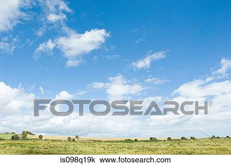 Dorset countryside View Large Photo Image Stock Image - Dorset countryside. Fotosearch