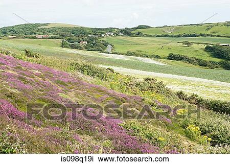 Stock Image - Isle of wight countryside. Fotosearch