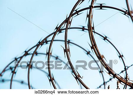 Razor wire View Large Photo Image Picture - Razor wire. Fotosearch