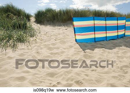 Windbreak on beach View Large Photo Image Stock Photo - Windbreak on beach. Fotosearch