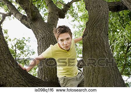 Stock Photograph - Young man in a tree. Fotosearch