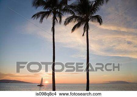 Coast at sunset View Large Photo Image Picture - Coast at sunset. Fotosearch