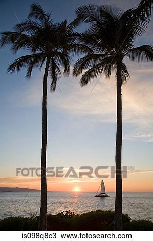 Coast at sunset View Large Photo Image Stock Image - Coast at sunset. Fotosearch