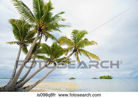 Fakarava island View Large Photo Image Stock Photography - Fakarava island. Fotosearch
