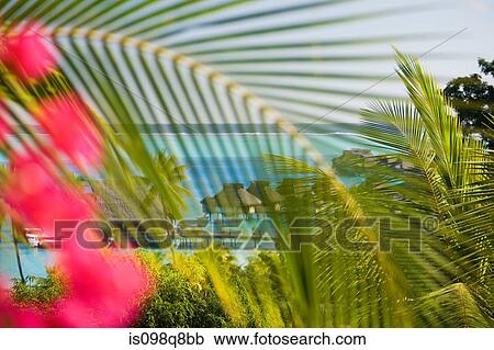 Holiday resort in bora bora View Large Photo Image Stock Image - Holiday resort in bora bora. Fotosearch
