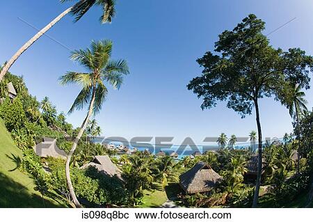 Holiday resort in bora bora View Large Photo Image Stock Image - Holiday resort in bora bora. Fotosearch