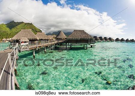 Holiday resort in moorea View Large Photo Image Stock Photograph - Holiday resort in moorea. Fotosearch