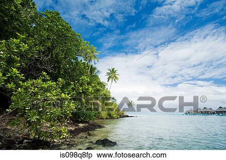 Holiday resort on bora bora View Large Photo Image Stock Photography - Holiday resort on bora bora. Fotosearch