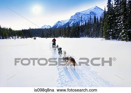 Person having a sleigh ride through the snow View Large Photo Image Stock Image - Person having a sleigh ride through the snow. Fotosearch