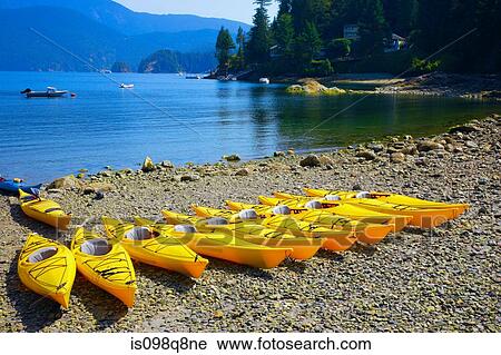 Row of yellow canoes on the beach View Large Photo Image Stock Image - Row of yellow canoes on the beach. Fotosearch