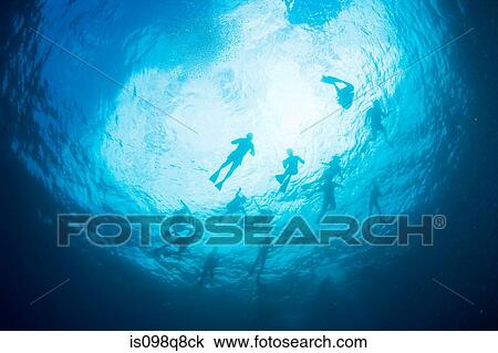 Scuba divers in sea View Large Photo Image Stock Image - Scuba divers in sea. Fotosearch