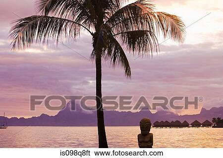 Sunset on tahiti with view of moorea View Large Photo Image Stock Photograph - Sunset on tahiti with view of moorea. Fotosearch