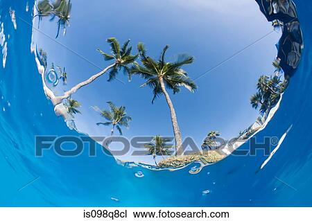 View from under the sea View Large Photo Image Stock Image - View from under the sea. Fotosearch