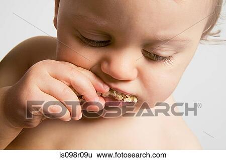 A baby girl eating a biscuit View Large Photo Image Stock Photograph - A baby girl eating a biscuit. Fotosearch