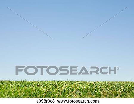 A field View Large Photo Image Stock Photo - A field. Fotosearch
