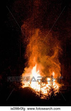 A forest fire View Large Photo Image Stock Image - A forest fire. Fotosearch