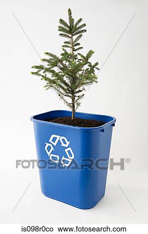 A tree in a recycling bin View Large Photo Image Picture - A tree in a recycling bin. Fotosearch