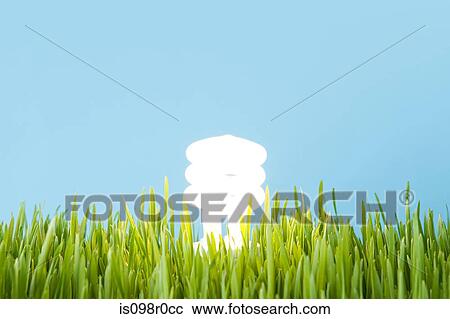 An energy saving lightbulb View Large Photo Image Stock Image - An energy saving lightbulb. Fotosearch