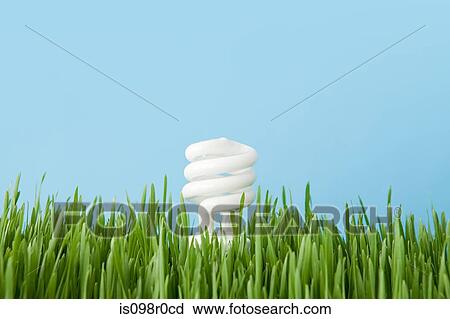 An energy saving lightbulb View Large Photo Image Stock Image - An energy saving lightbulb. Fotosearch