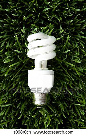 An energy saving lightbulb View Large Photo Image Stock Image - An energy saving lightbulb. Fotosearch
