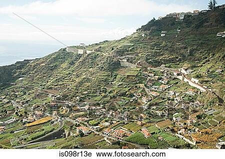 Camara de lobos madeira View Large Photo Image Stock Image - Camara de lobos madeira. Fotosearch