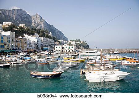 Picture - Capri harbour. Fotosearch