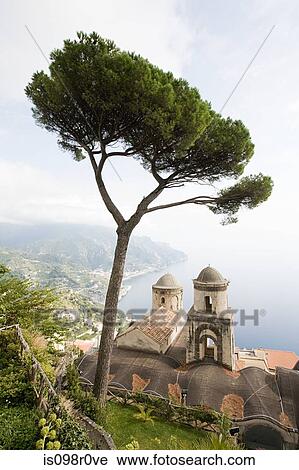 Church and tree in ravello View Large Photo Image Stock Image - Church and tree in ravello. Fotosearch