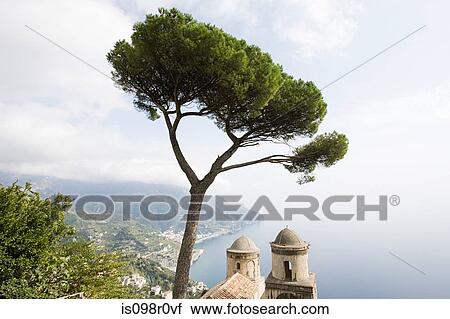Church and tree in ravello View Large Photo Image Stock Image - Church and tree in ravello. Fotosearch